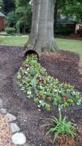 landscapers charlotte nc, landscapers in charlotte
