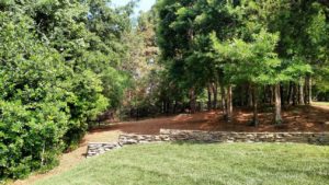 lawn care services, lawn mowing service charlotte nc