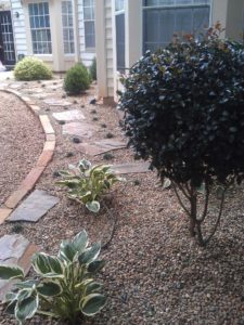 landscape companies in charlotte nc