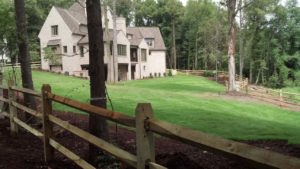 leaf removal charlotte nc, charlotte leaf removal