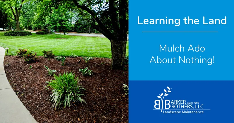 Mulch Ado About Nothing