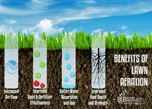Charlotte - Aeration