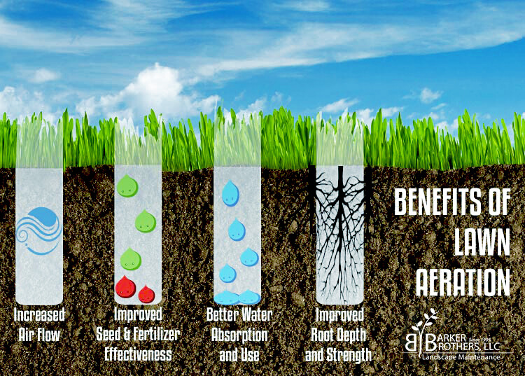 Charlotte - Aeration
