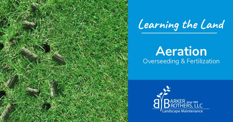 Aeration, Overseeding & Fertilization
