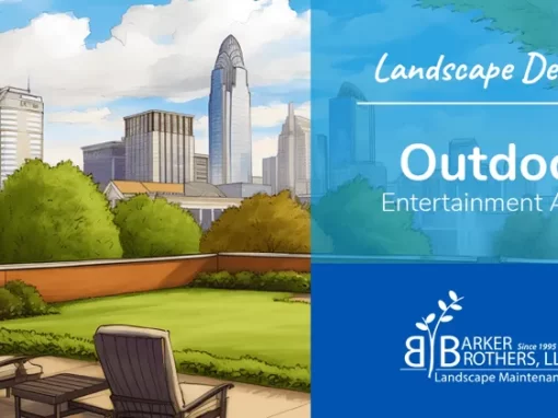 Outdoor Entertainment Area Tips for Charlotte, NC Homes