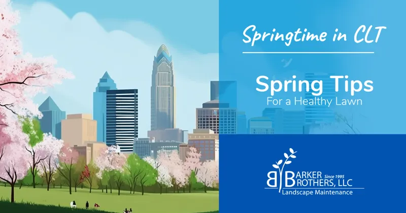 Spring Lawn Maintenance Tips for a Healthy Lawn in Charlotte, NC