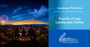 A family enjoys a Fourth of July fireworks display from their backyard in Charlotte, NC, highlighting the importance of safe lawn care during celebrations.