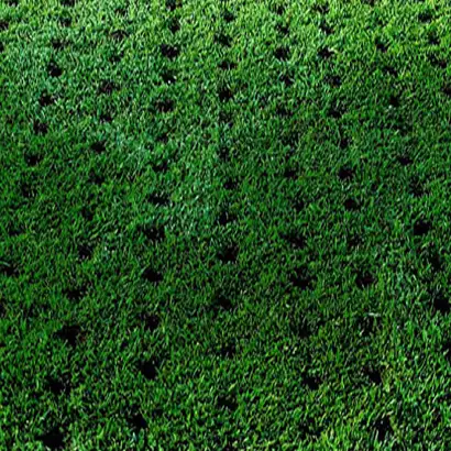 Charlotte, NC lawn with healthy grass and soil cores after aeration for better breathability.