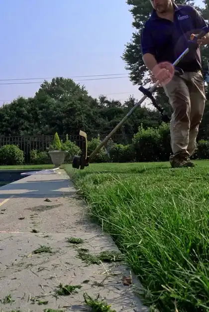 Lawn care professional precisely trimming the edge of a lawn next to a walkway in Charlotte.