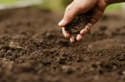 Close-up of a hand spreading soil in Charlotte NC, vital for successful planting and landscaping.