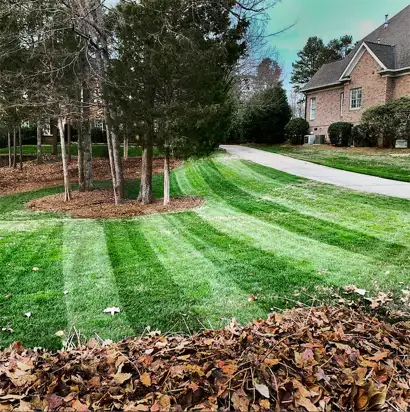 Fall cleanup services showcased by a freshly mowed lawn in Charlotte, NC with a pile of collected leaves ready for removal.