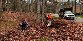A leaf removal crew in Charlotte, NC, uses powerful blowers to clear a large area covered with autumn leaves, with a truck parked in the background.