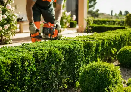 Professional landscaper trimming hedges with precision in Charlotte, showcasing expert landscaping services.