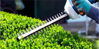 Close-up of precise shrub trimming in Charlotte, NC, with electric hedge clippers shaping a vibrant green hedge for optimal plant health and aesthetics.