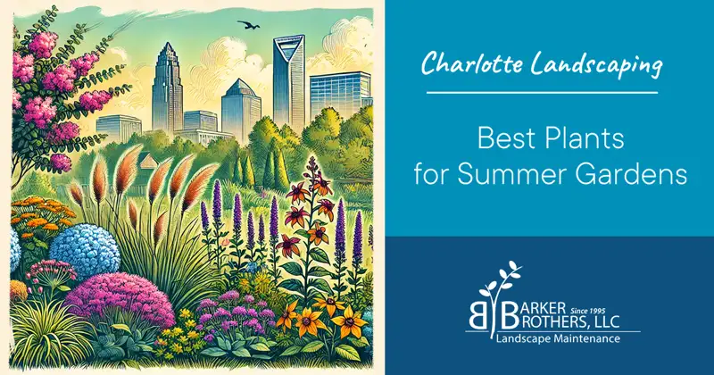 Best Plants for Summer Landscaping in Charlotte