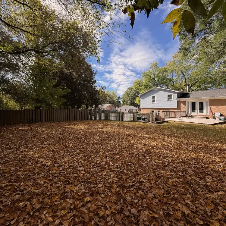 Before: Leaf Removal