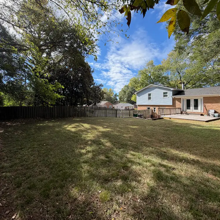 After: Leaf Removal